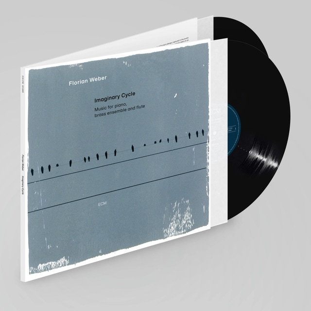 Imagen 0 de Imaginary Cycle (2 LP- Vinilo)