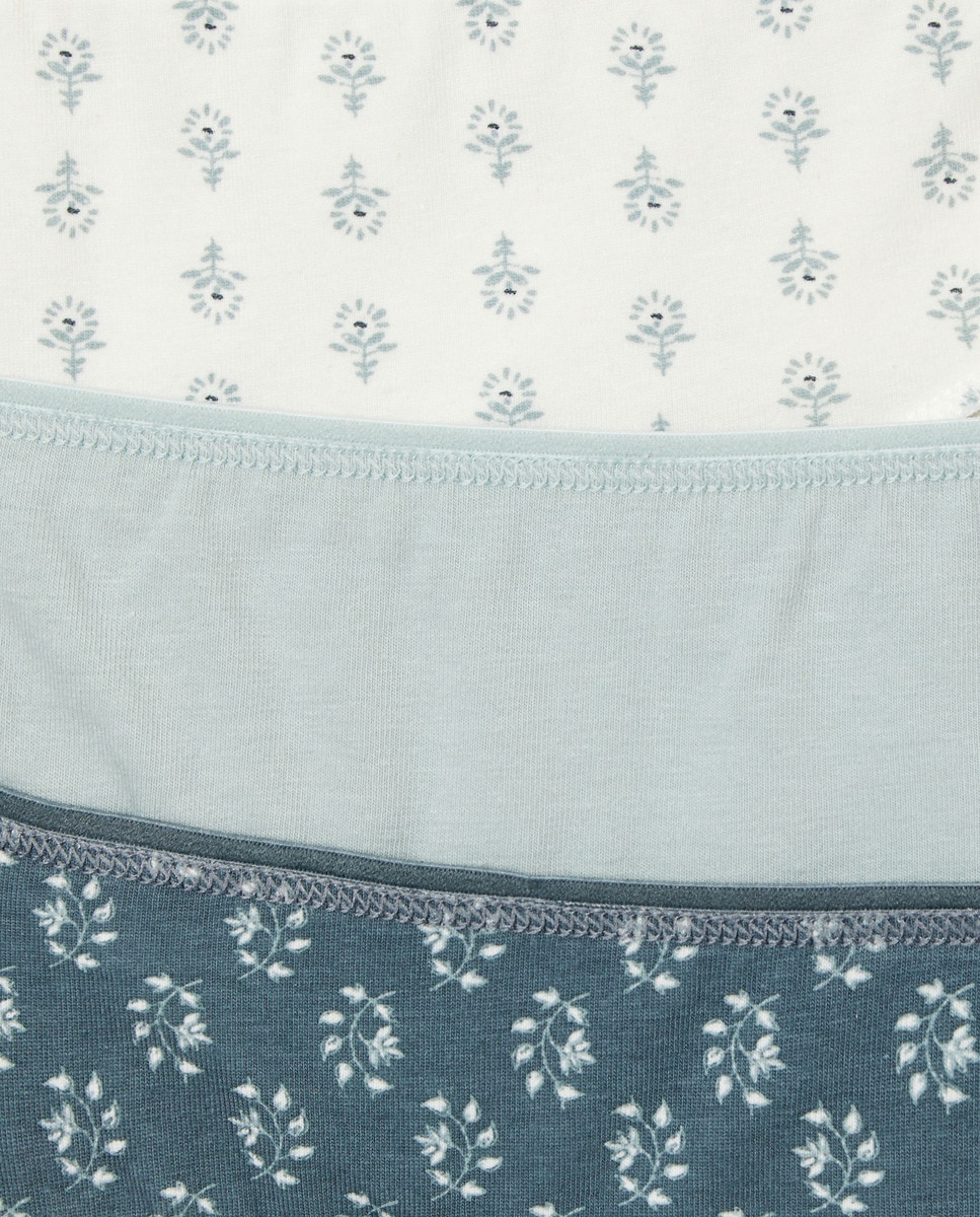 Pack 5 braga bikini algodón estampadas Verde-4