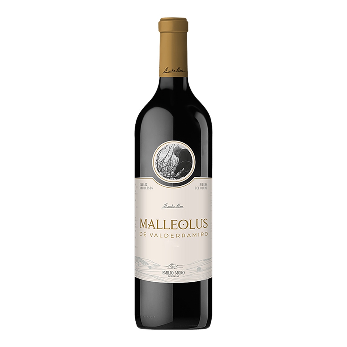Imagen 0 de Vino tinto Malleolus Valderramiro tempranillo 2021 Ribera del Duero
