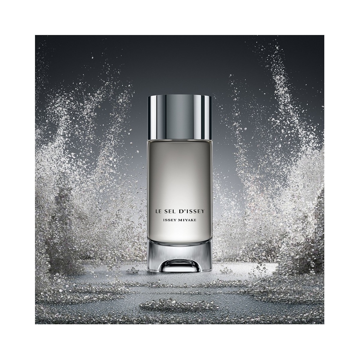 Le Sel d'Issey Eau de Toilette - 50 ml 2