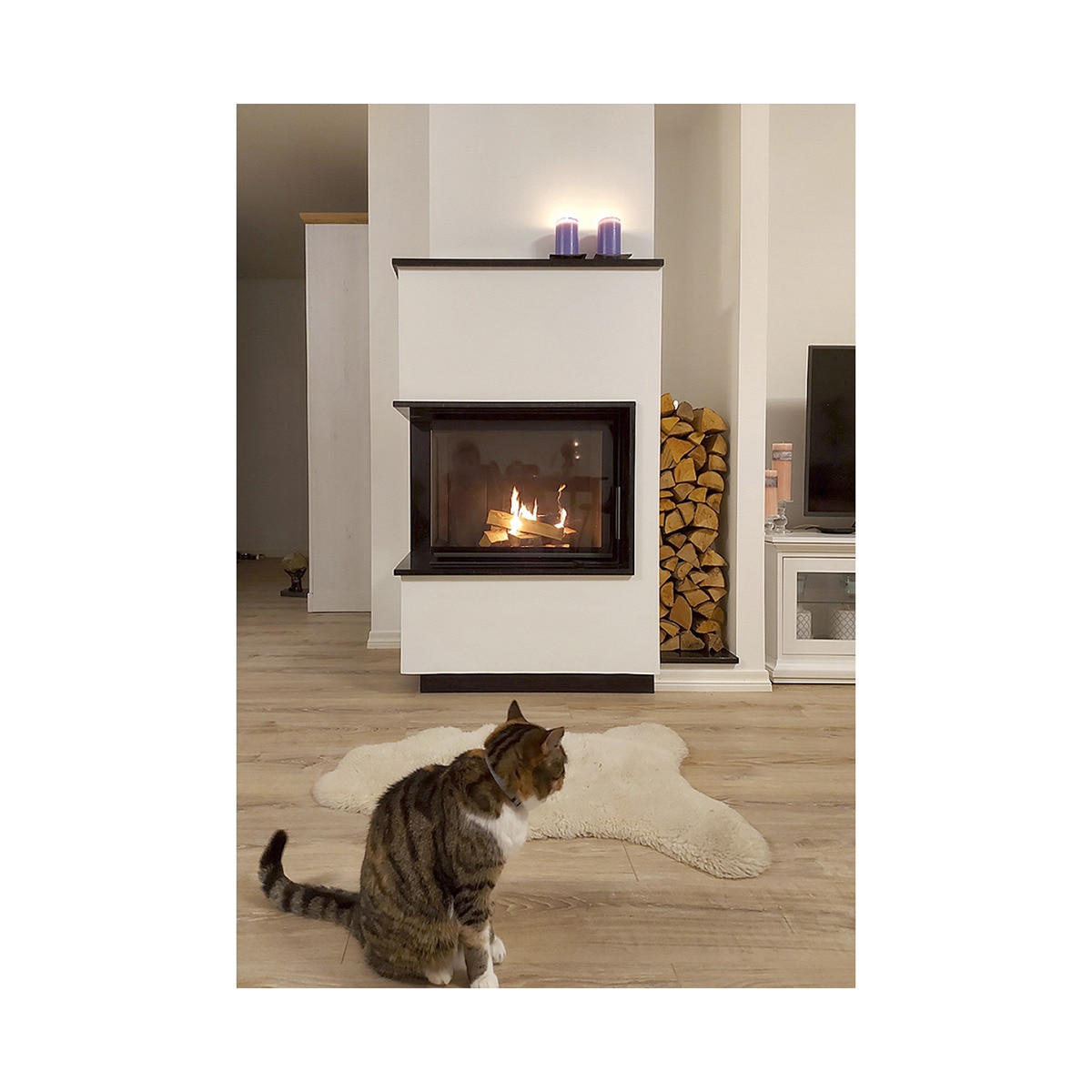 Chimenea Leña Heat F58/31 Esquinera Izquierda Puerta Lateral Negro-4