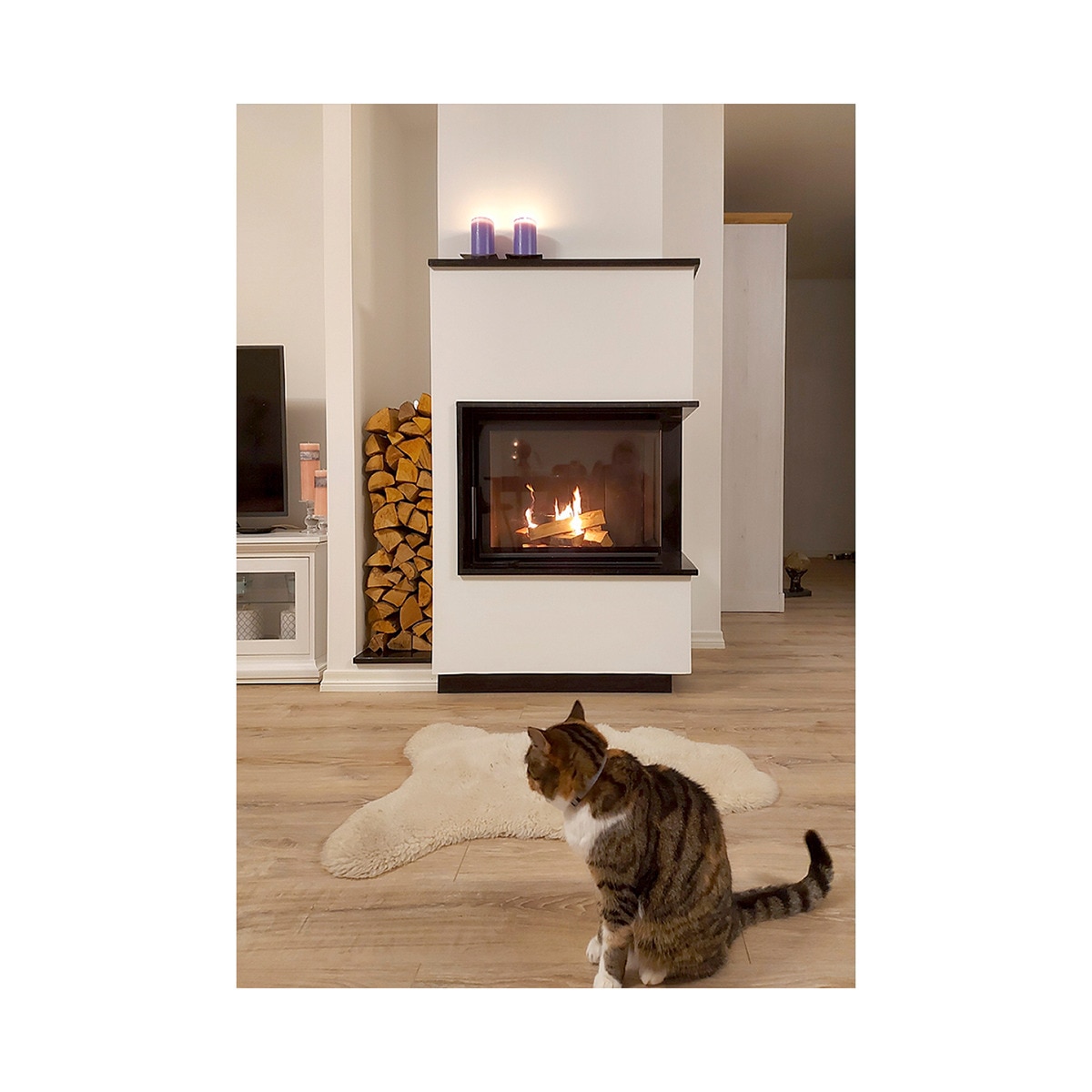 Chimenea Leña Heat F58/31 Esquinera Derecha Puerta Lateral Negro-5