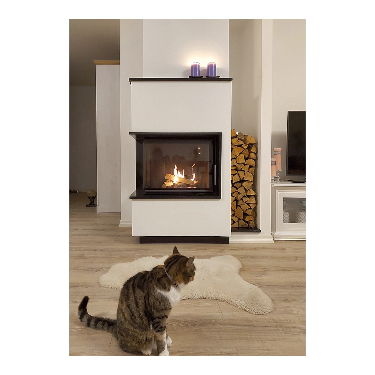 Chimenea Leña Heat F68/31 Esquinera Izquierda Puerta Lateral Negro-3