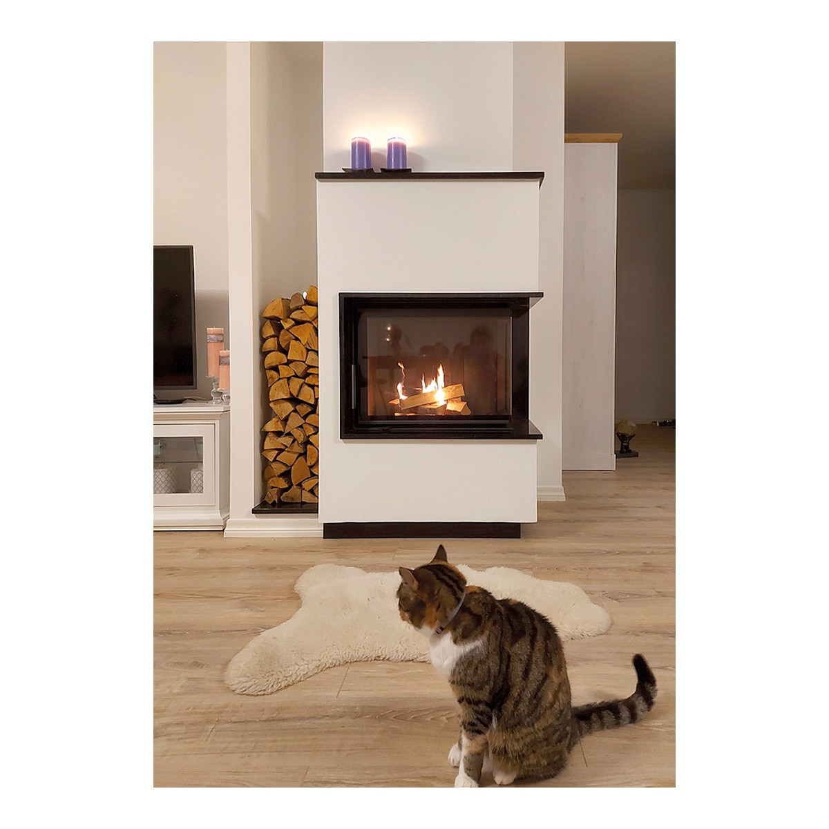 Chimenea Leña Heat F68/31 Esquinera Derecha Puerta Lateral Negro-5