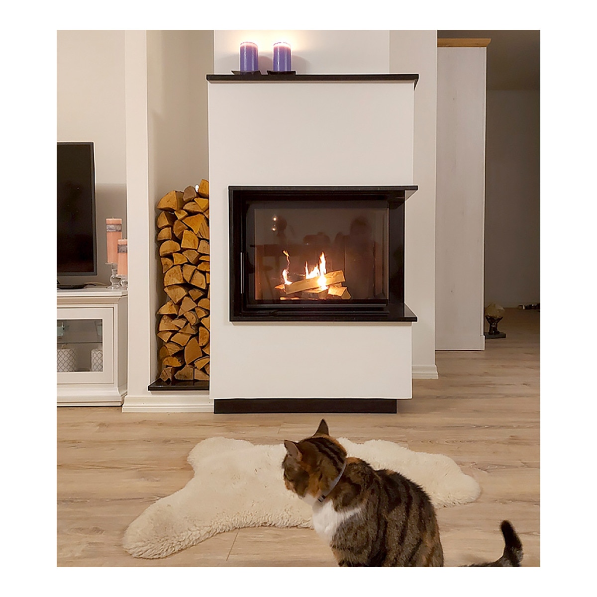 Chimenea Leña Heat 81/40 Esquinera Derecha Puerta Lateral Negro-3
