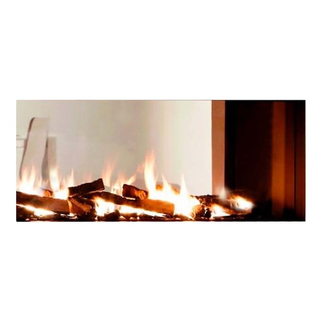 Imagen 0 de Chimenea Gas LPG Pano 650 Túnel Doble Cara