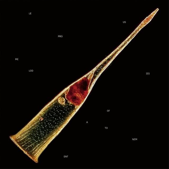 Imagen 0 de Melodies of atonement (Edición Color) (2 LP-Vinilo)