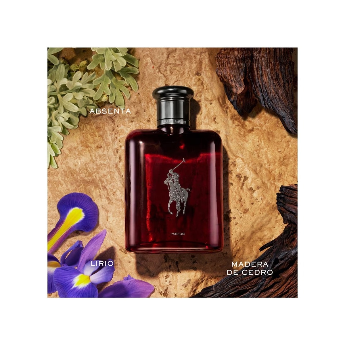 Recarga Polo Red Eau de Toilette 3