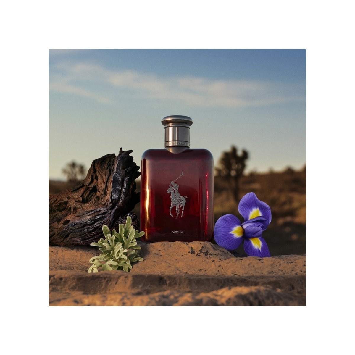 Recarga Polo Red Eau de Toilette 5