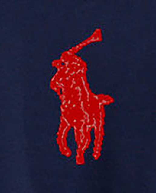 Imagen 0 de Pantalón de hombre de chándal de felpa RL