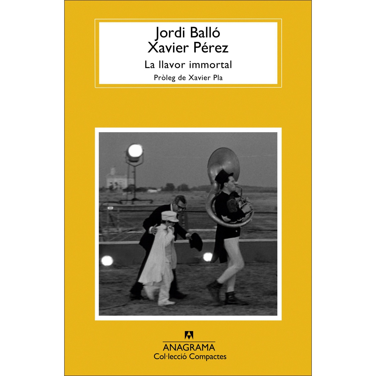 Imagem 0 de La llavor immortal (Capa mole)