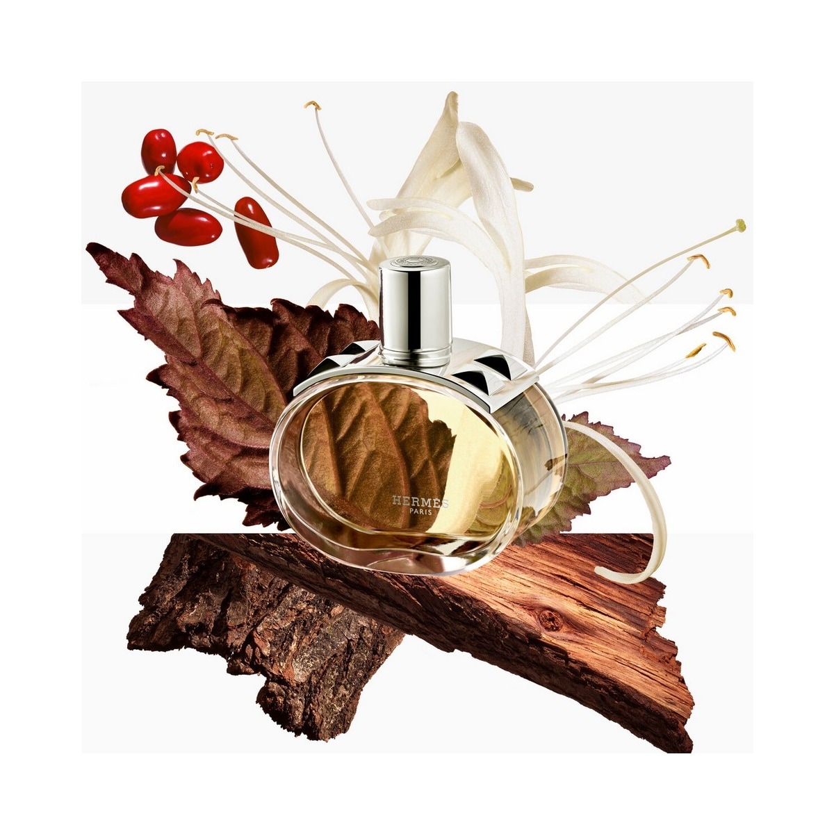 Barénia Eau de Parfum 4