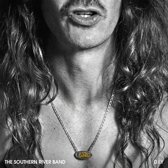 Imagen 0 de D.I.Y (CD)