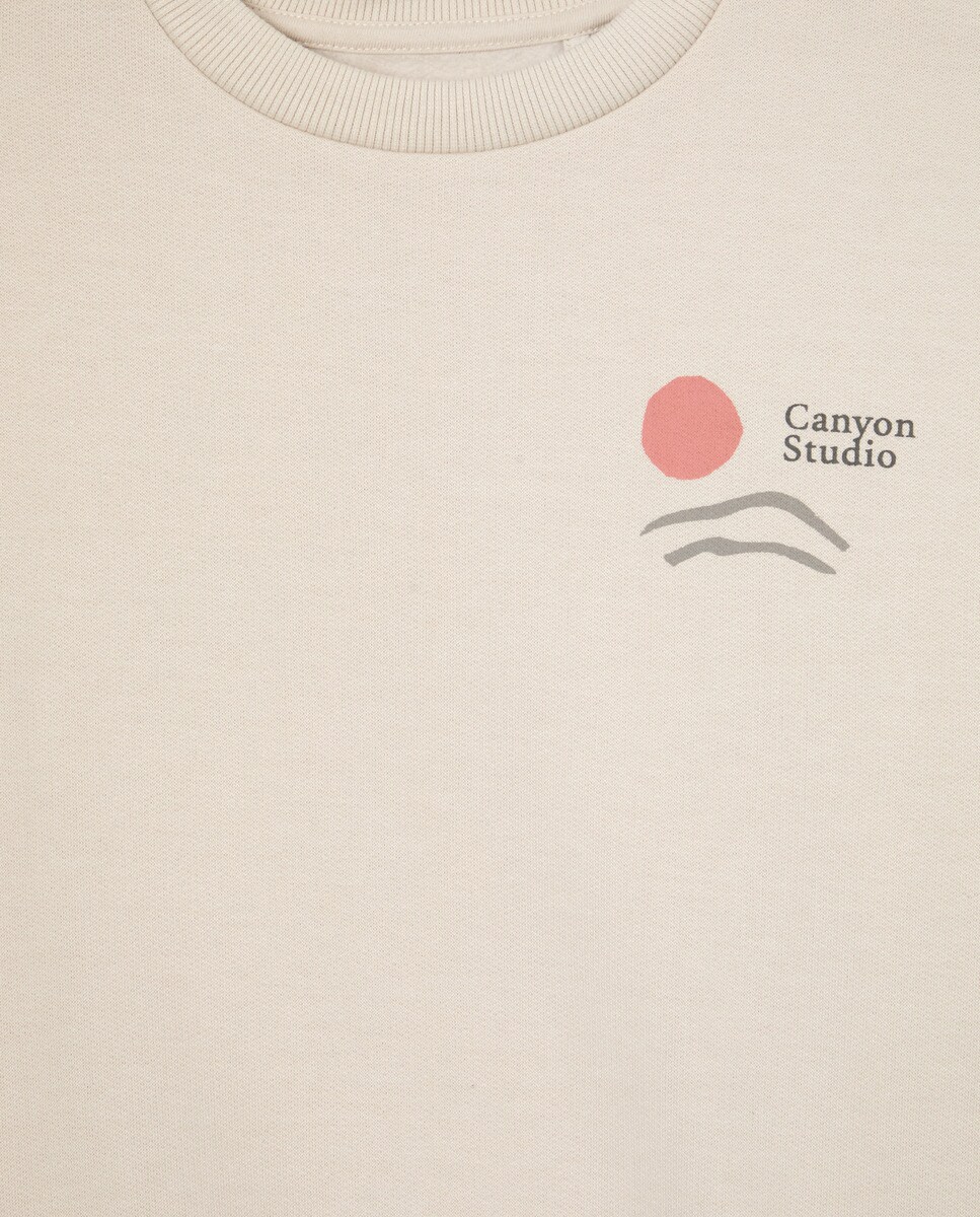 Sudadera Estampada Cuello Caja Piedra-3