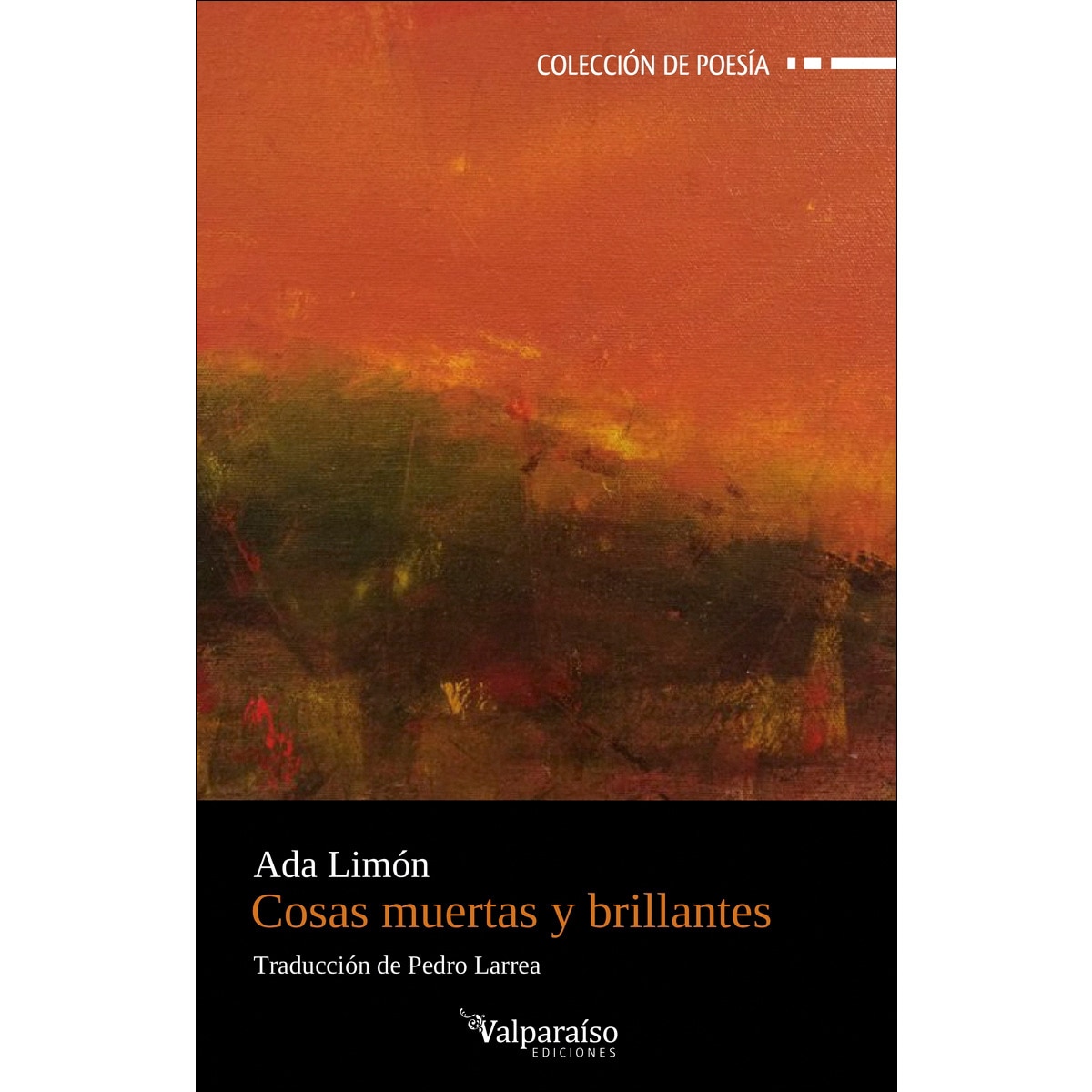 Imagem 0 de Cosas muertas y brillantes (Capa mole com abas)