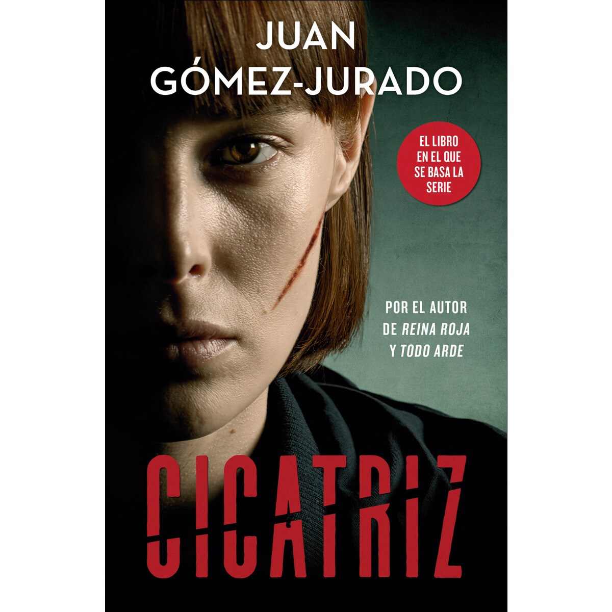 Cicatriz: El libro en que se basa la serie de RTVE y Prime Video ...