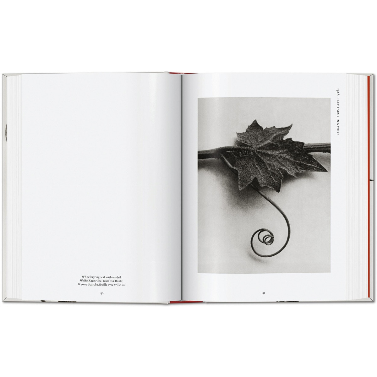 Karl Blossfeldt. The Complete Published Work. 45th Ed. (Capa dura) 4