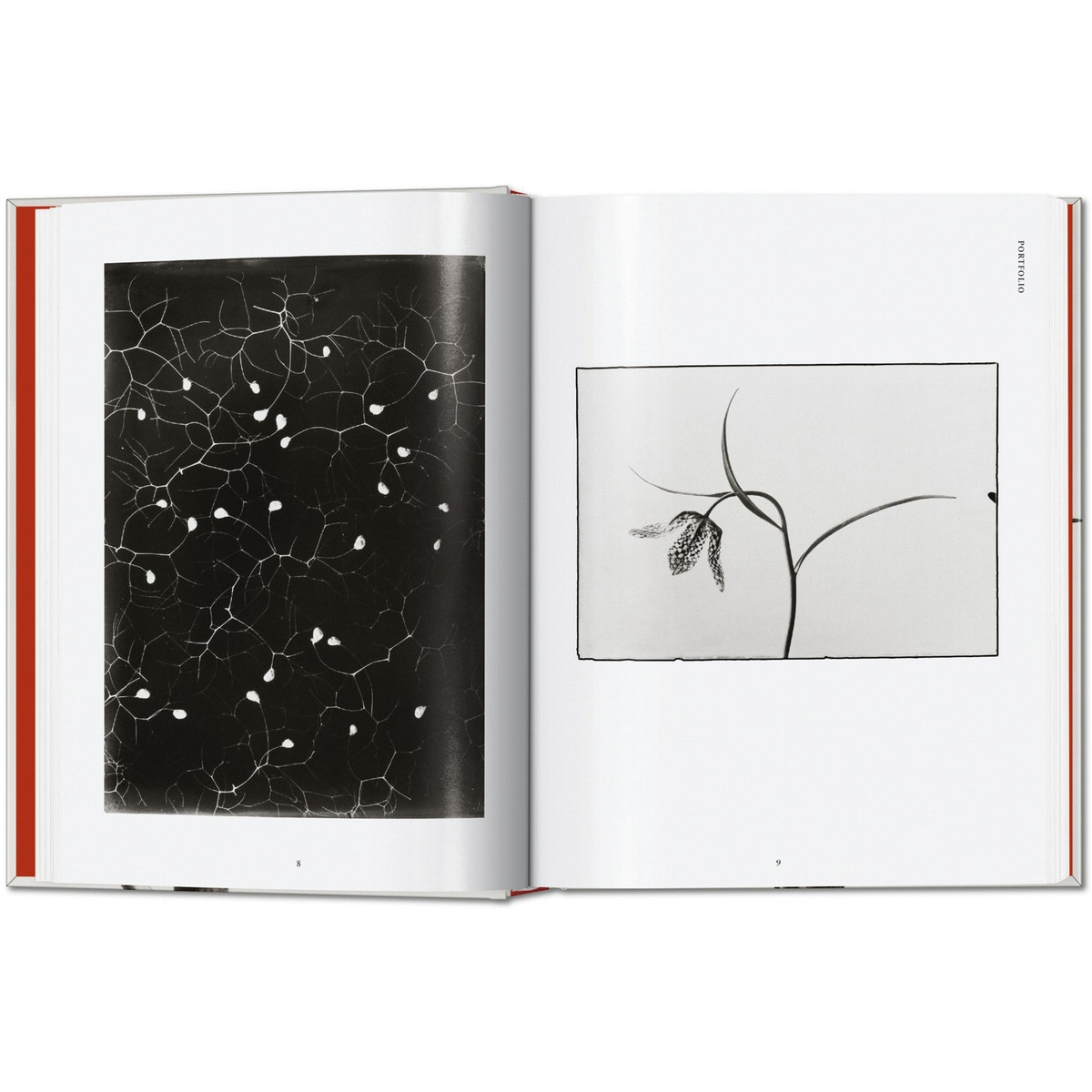 Karl Blossfeldt. The Complete Published Work. 45th Ed. (Capa dura) 3