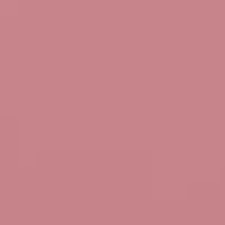 485 Princess Charming 485 Princess Charming