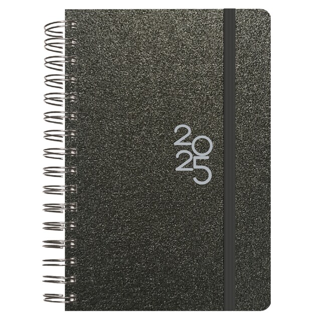 Imagen 0 de Agenda anual 2025 1 día por página Metallic Gris Senfort