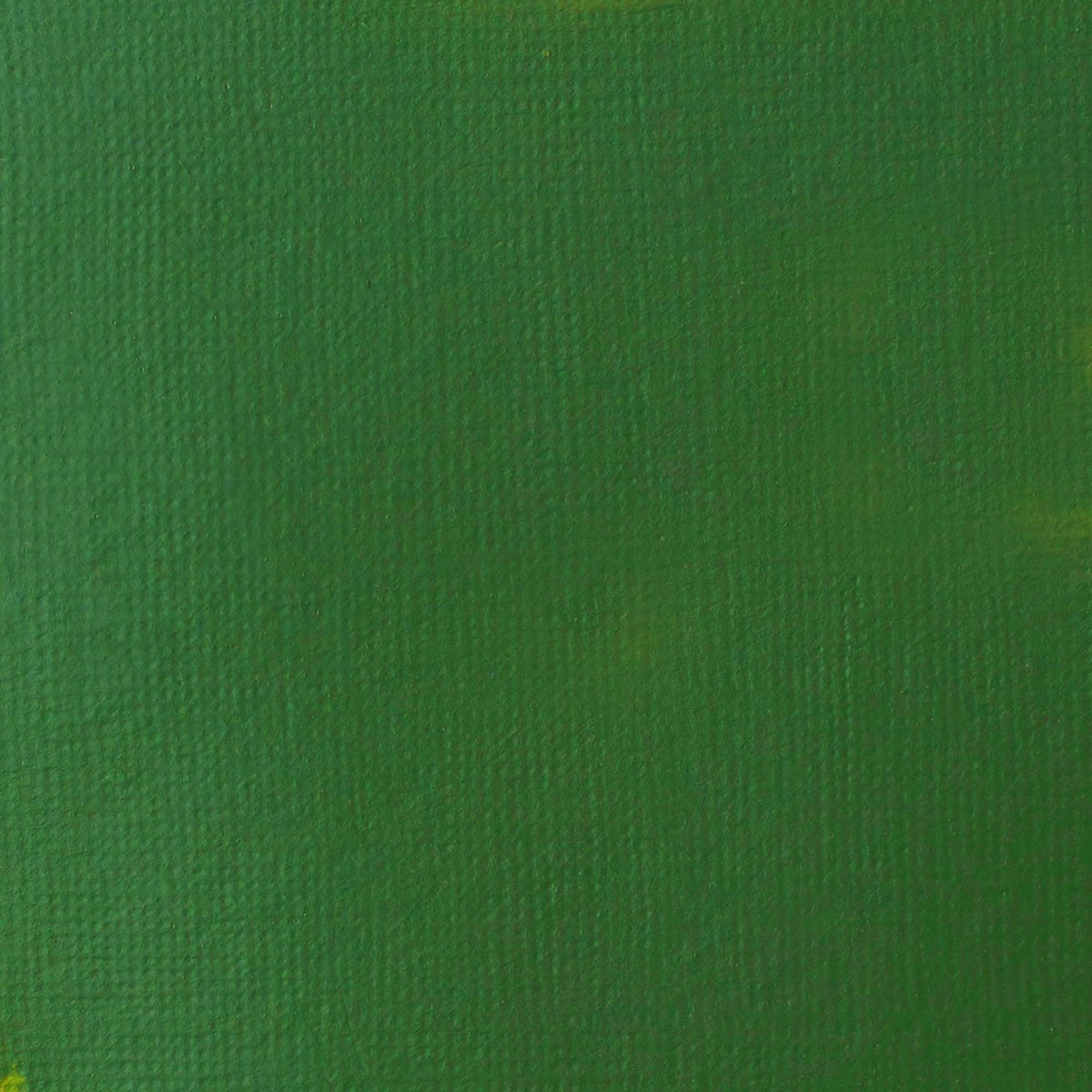 Liquitex Acrílico Basics Tom Verde de Hooker Permanente 118ml 2