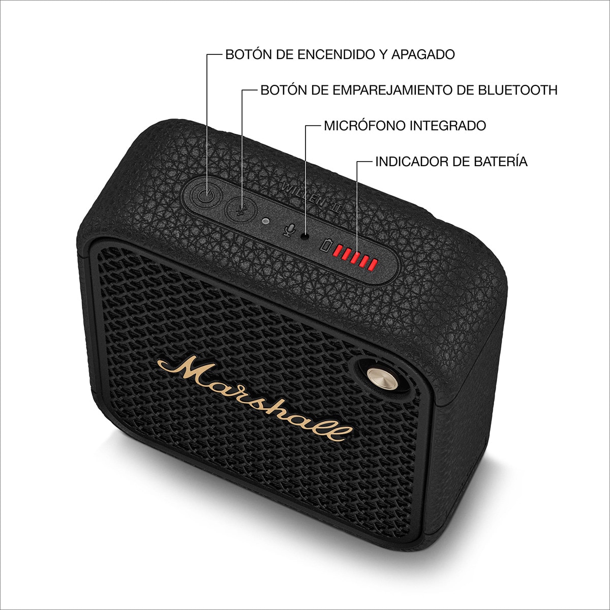 Altavoz portátil Marshall Willen II Black & Brass Negro-3