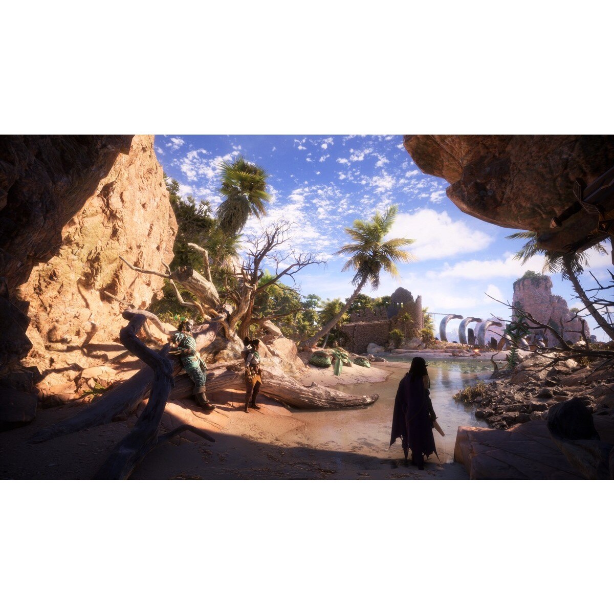 Dragon Age: The Veilguard - PlayStation 5 11