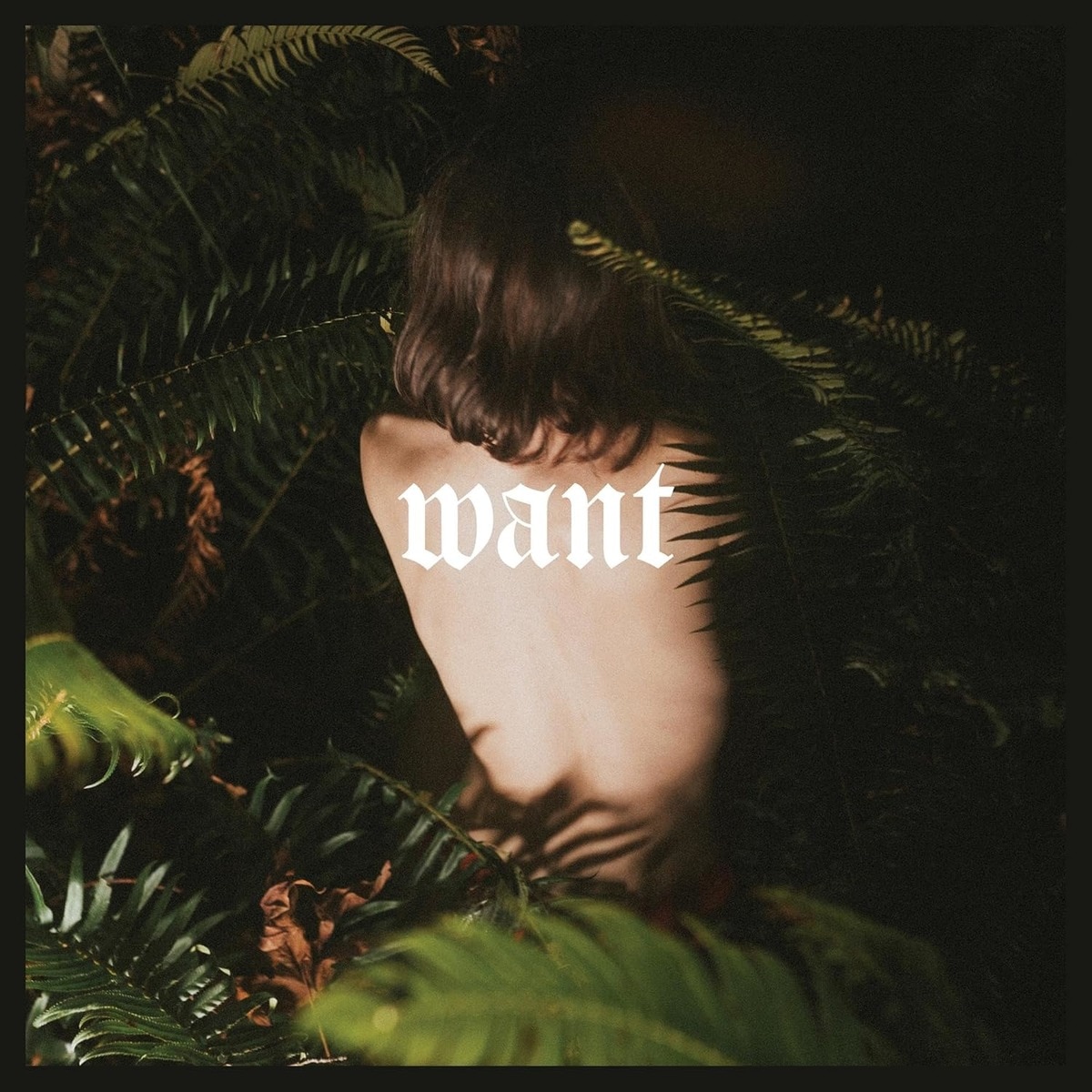Imagen 0 de want (CD)