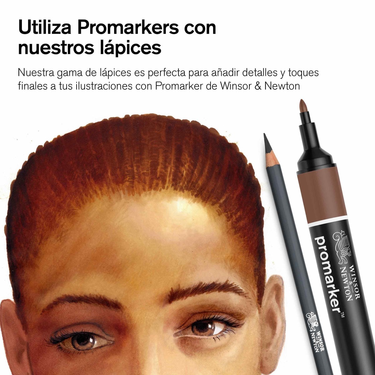 Set 48 Lápices Colores Winsor&Newton 10