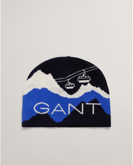 Imagen 0 de Gorro Alpine Graphic Kids