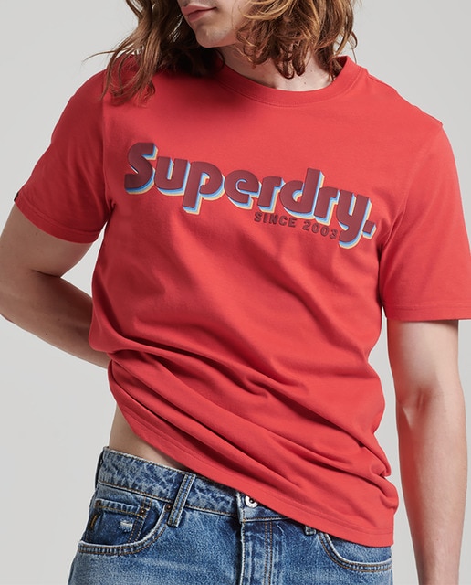 Imagen 0 de Camiseta de hombre clásica con logotipo Terrain