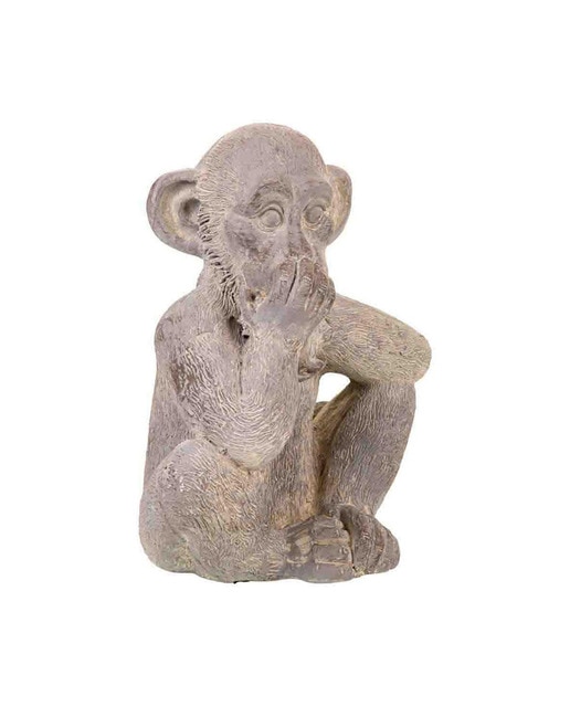 Imagen 0 de Mono deco de magnesio