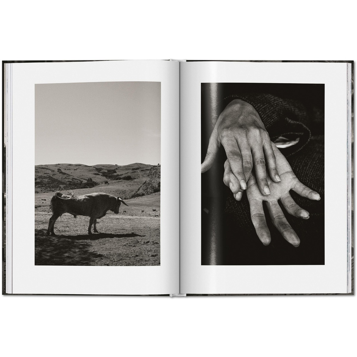 Peter Lindbergh. Untold Stories (Capa dura) 4