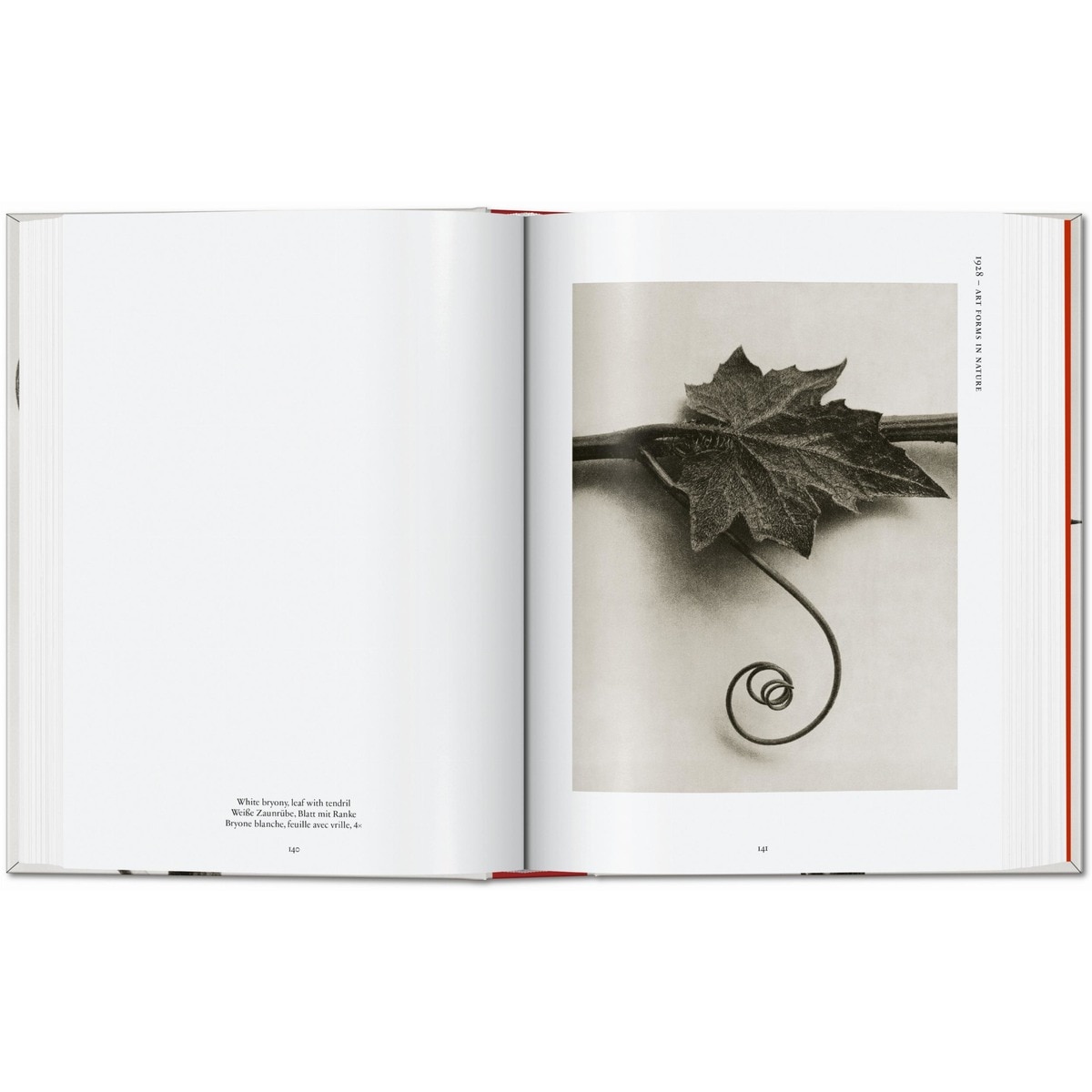 Karl Blossfeldt. The Complete Published Work. 45th Ed. (Capa dura) 15