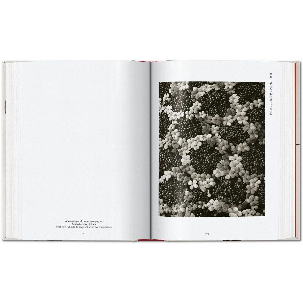 Karl Blossfeldt. The Complete Published Work. 45th Ed. (Capa dura) 12
