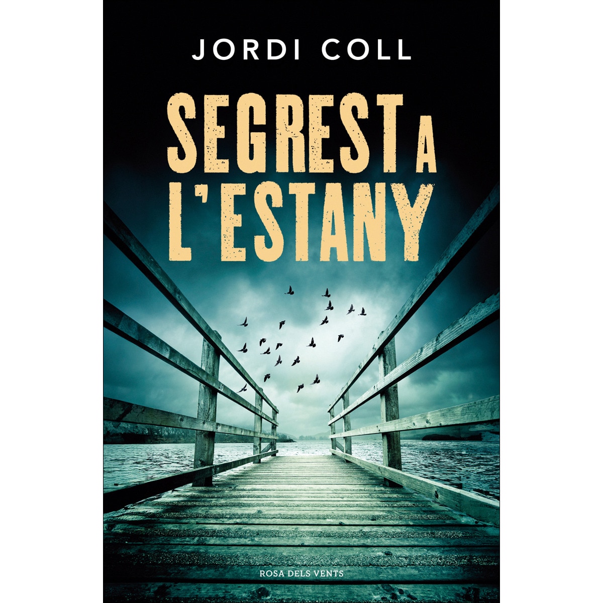 Imagem 0 de Segrest a l'estany (Capa mole)