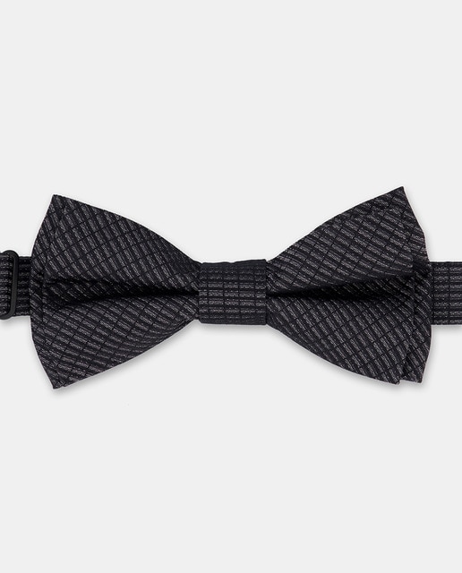 Imagen 0 de Pajarita en estuche en seda natural