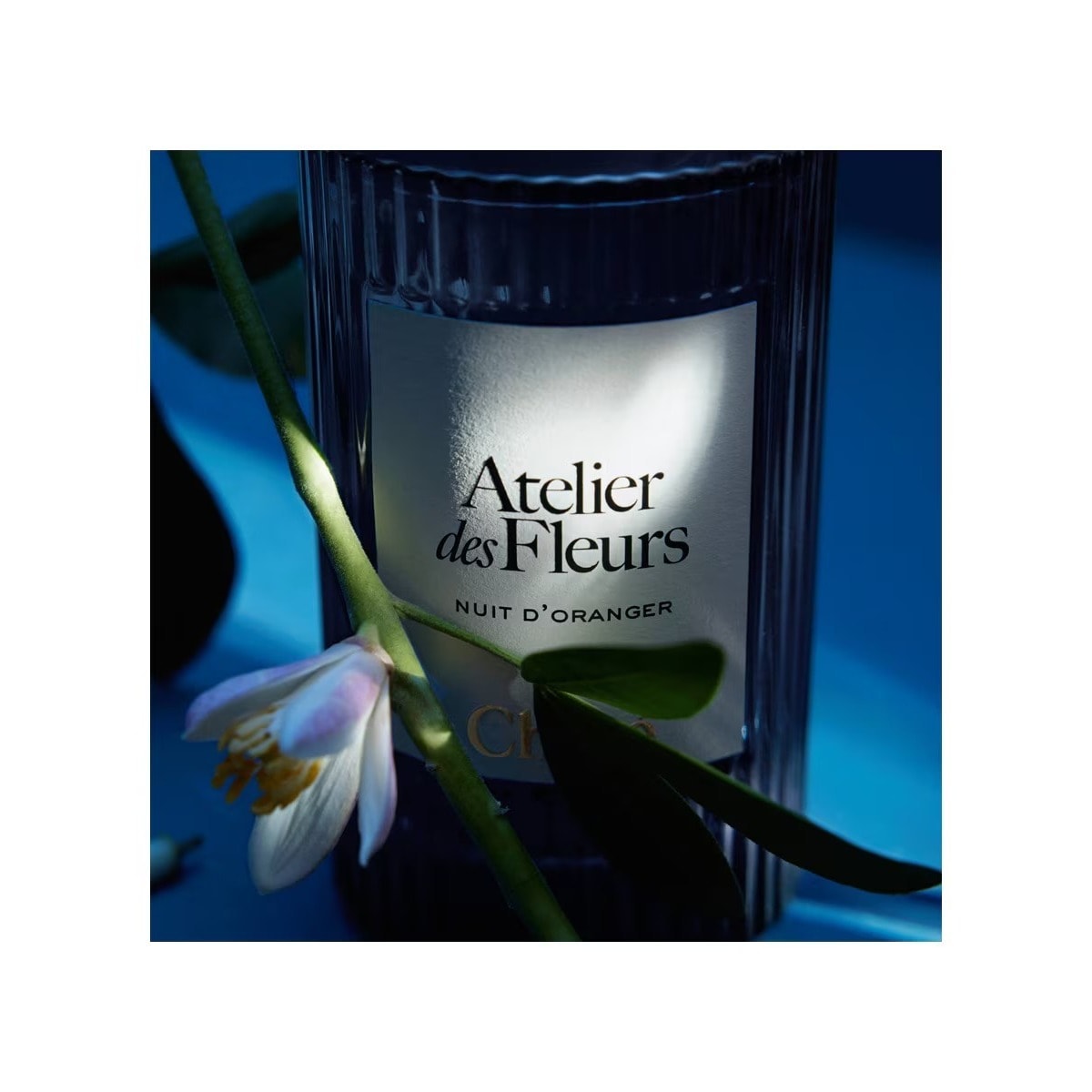 Atelier des Fleurs Nuit d'Oranger Eau de Parfum 5