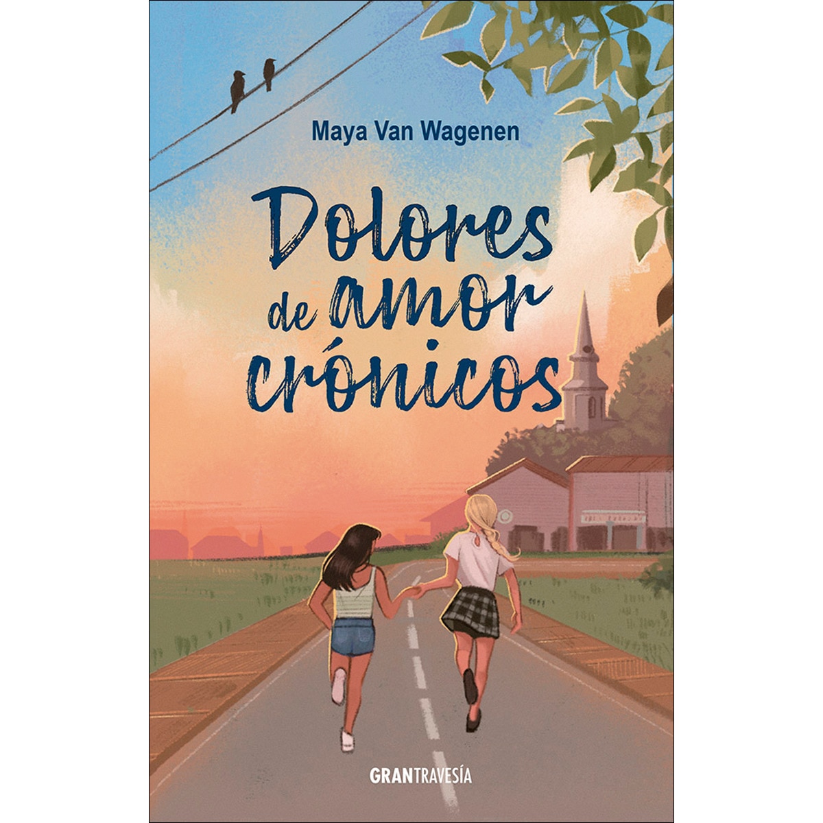 Dolores de amor crónicos 1