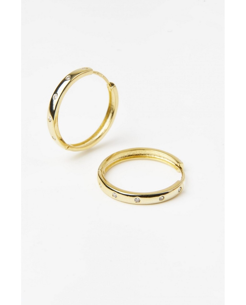 Imagem 0 de Gentle Breeze Earrings - Banho de ouro