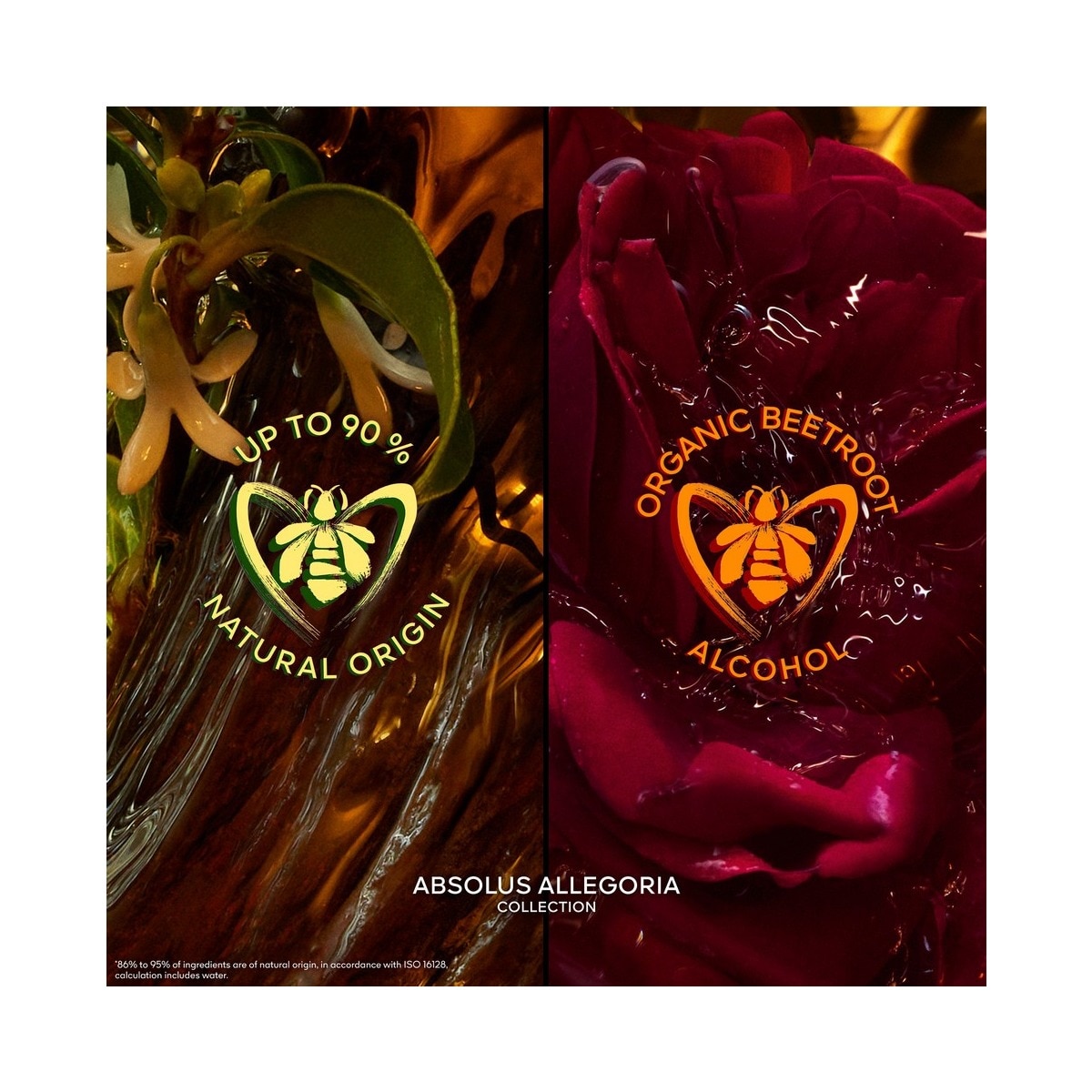 Absolus Allegoria Epices Exquises Eau de Parfum - 125 ml 4