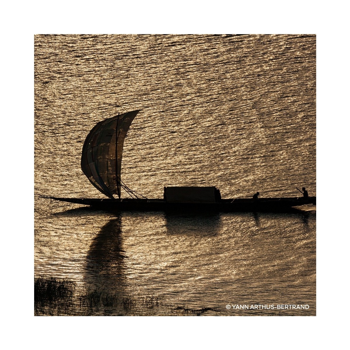 Absolus Allegoria Epices Exquises Eau de Parfum - 125 ml 5