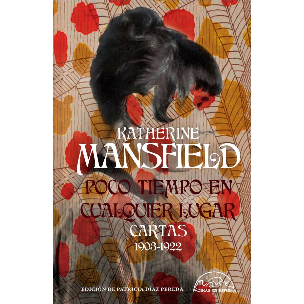 Imagem 0 de Poco tiempo en cualquier lugar: Cartas 1903-1922