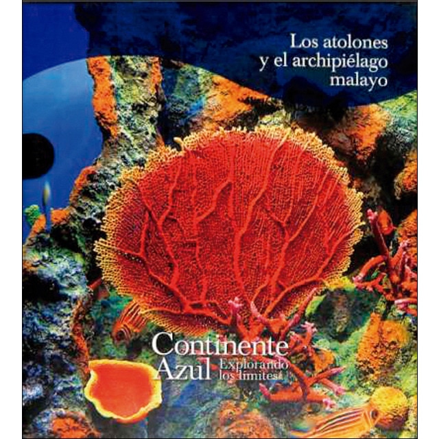 LOS ARRECIFES Y EL CARIBE 1