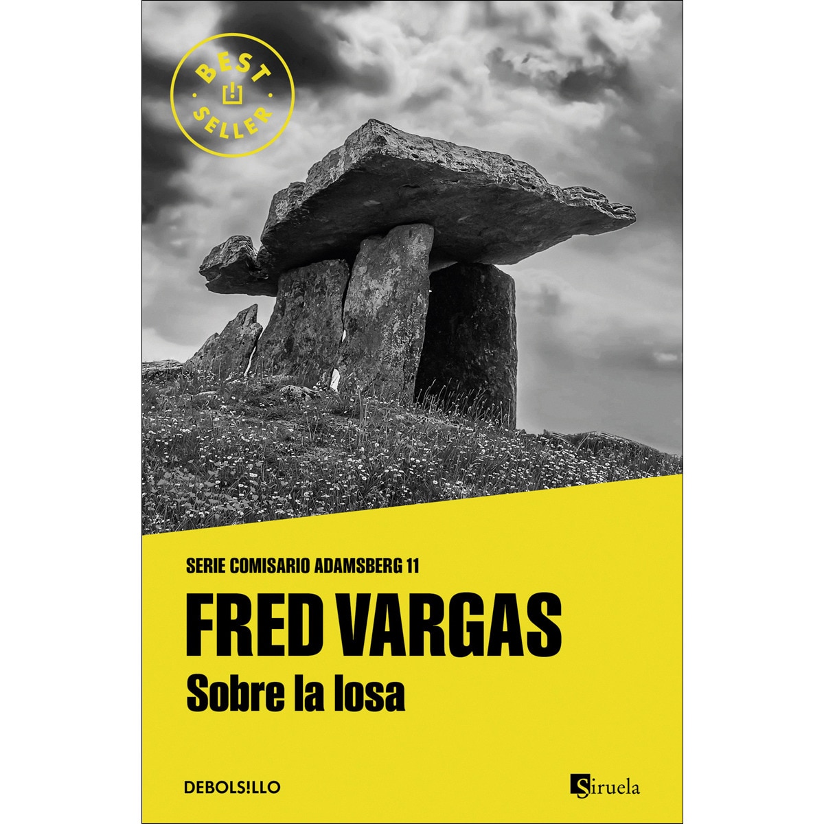 Imagem 0 de Sobre la losa (Comisario Adamsberg 11)