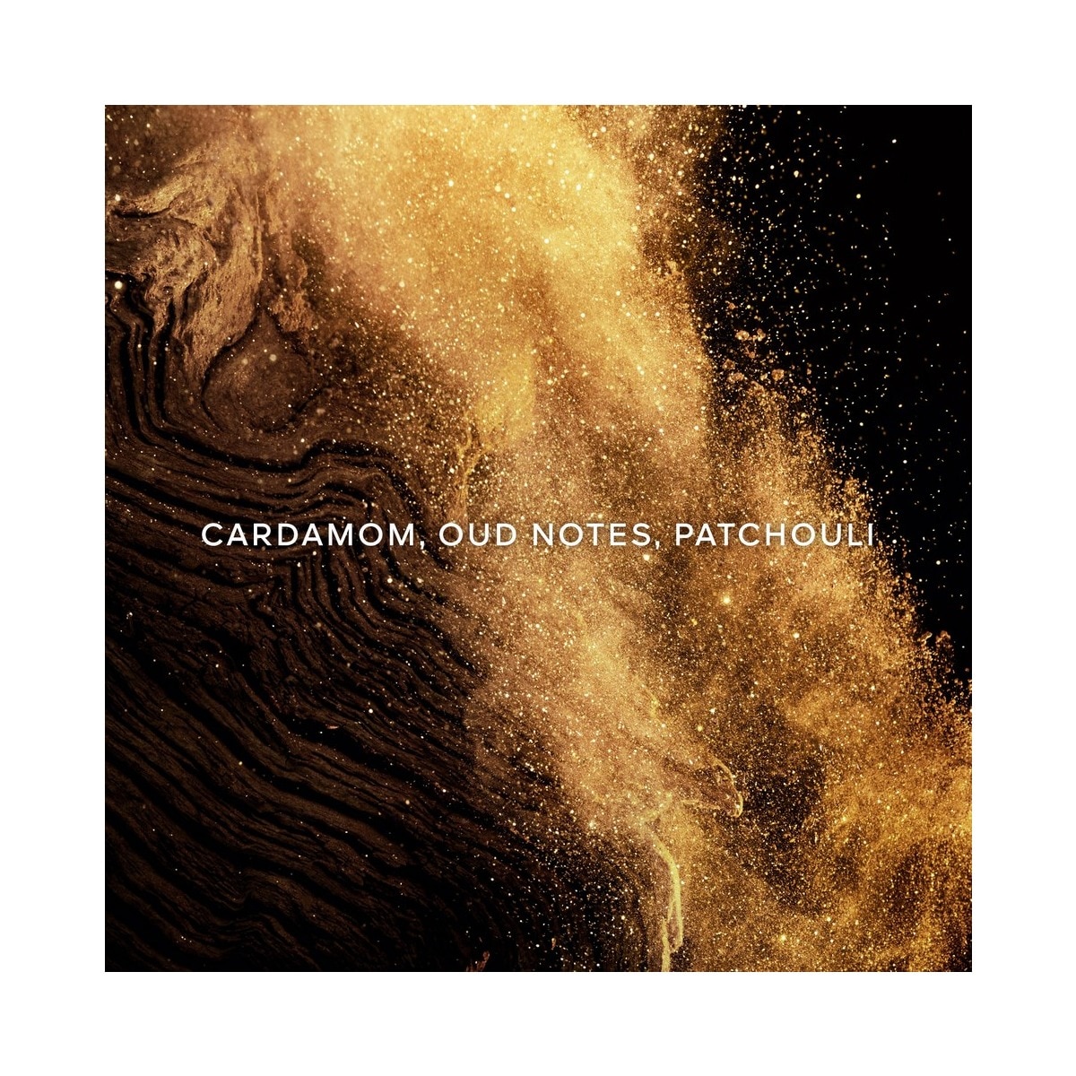 Absolus Allegoria Epices Exquises Eau de Parfum - 125 ml 3