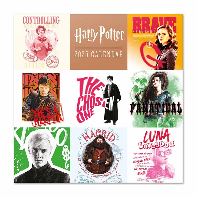 Imagem 0 de Calendário 2025 30x30 Harry Potter Erik multicolorido