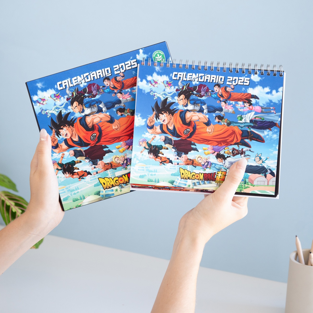 Calendário de escritório multicolor Dragon Ball Erik 2025 Multicolor-8