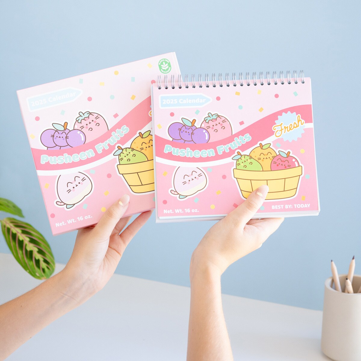 Calendario Da Parete Pusheen 2025 A3 (29.7x42cm) - 12 Mesi Illustrati, Inglese, FSC, Plastic Free, Kawaii