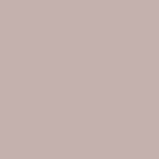 BEIGE NUDE